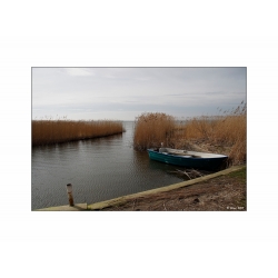 Boot im Schilf (Usedom)